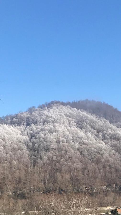 Pine Mountain Inn Pineville Екстериор снимка